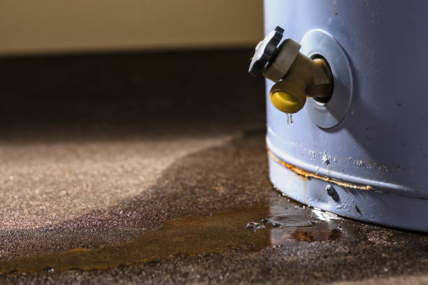 Best Water damage restoration near me  in Raven, VA