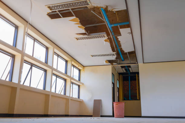 Best Residential water damage restoration  in Raven, VA