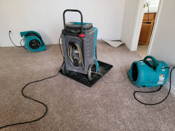 Best Water damage cleanup near me  in Raven, VA