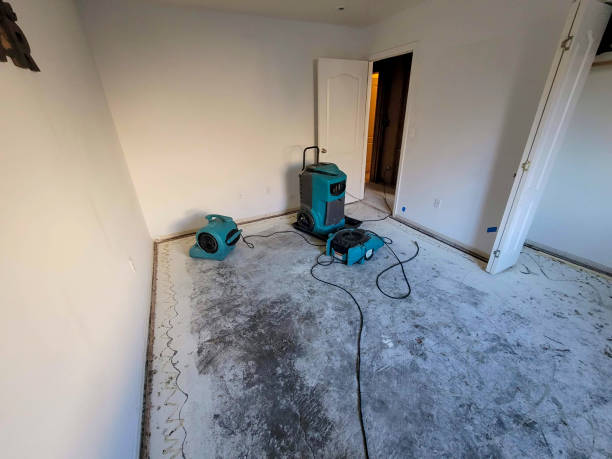 Best Professional water damage repair  in Raven, VA