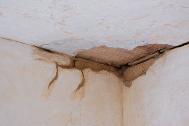 Best Emergency water damage restoration  in Raven, VA