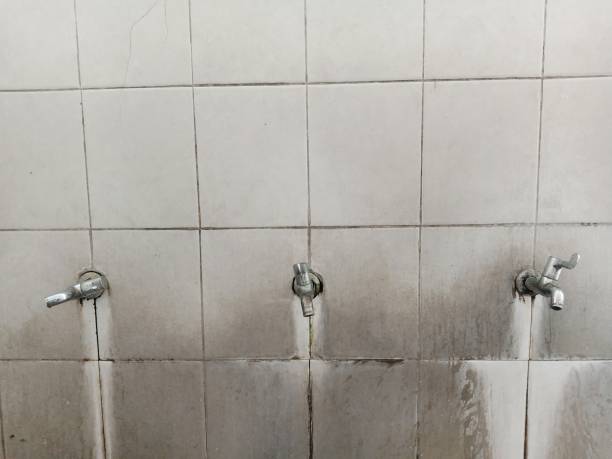 Best Water damage restoration services  in Raven, VA